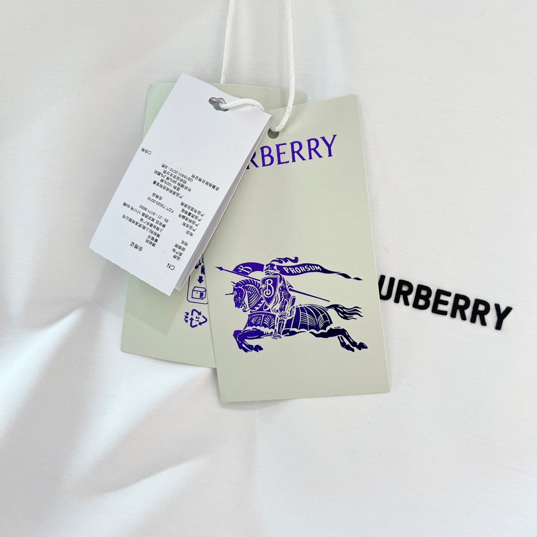   【新品】原单‼️‼️ Bur字母系列 来自贸易渠道的订单货品,精致简约大气百搭款T恤.

2025春
