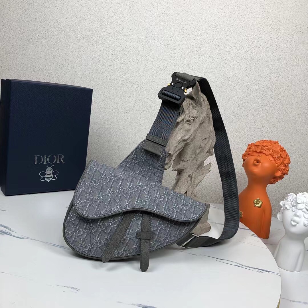 Dior Taschen Satteltaschen Grau Nylon Oblique