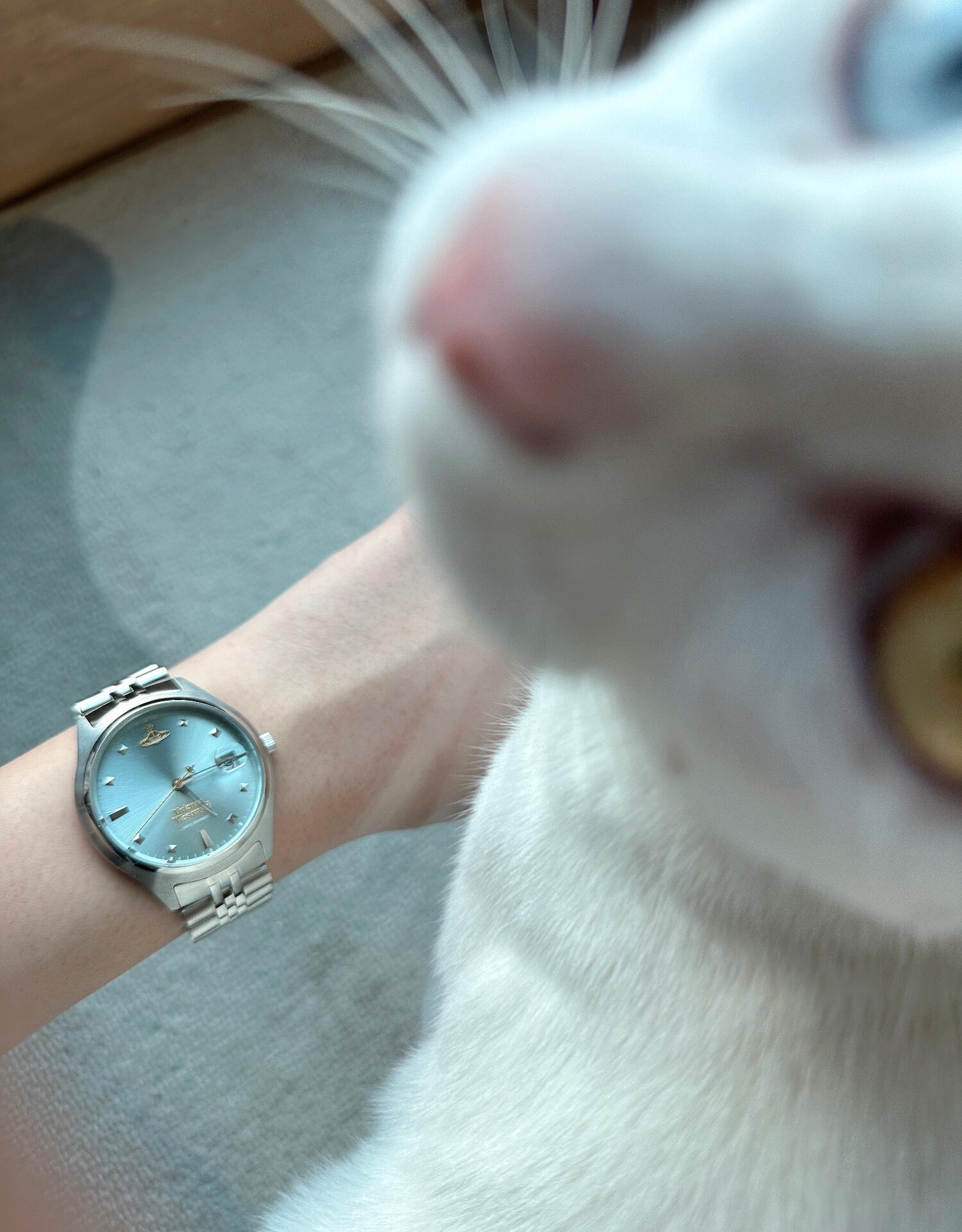 Main recommendation ②𝐕𝐕 261 Blue Large/37mm𝐕𝐕 311 Blue Small/29mm Cr - Watch 9