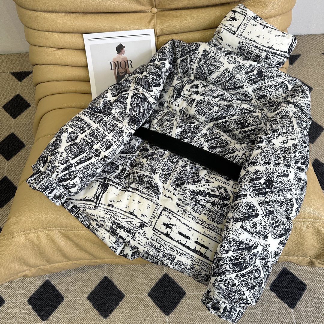 Stylish Dustproof Bags and Winter Costumes with Paris Map Ski Feathers - 图片 9