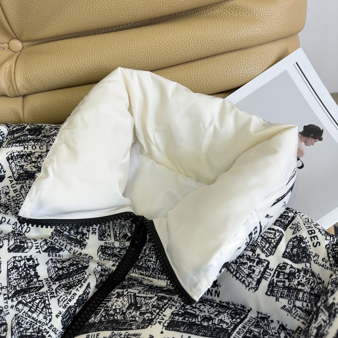 Stylish Dustproof Bags and Winter Costumes with Paris Map Ski Feathers - 图片 3