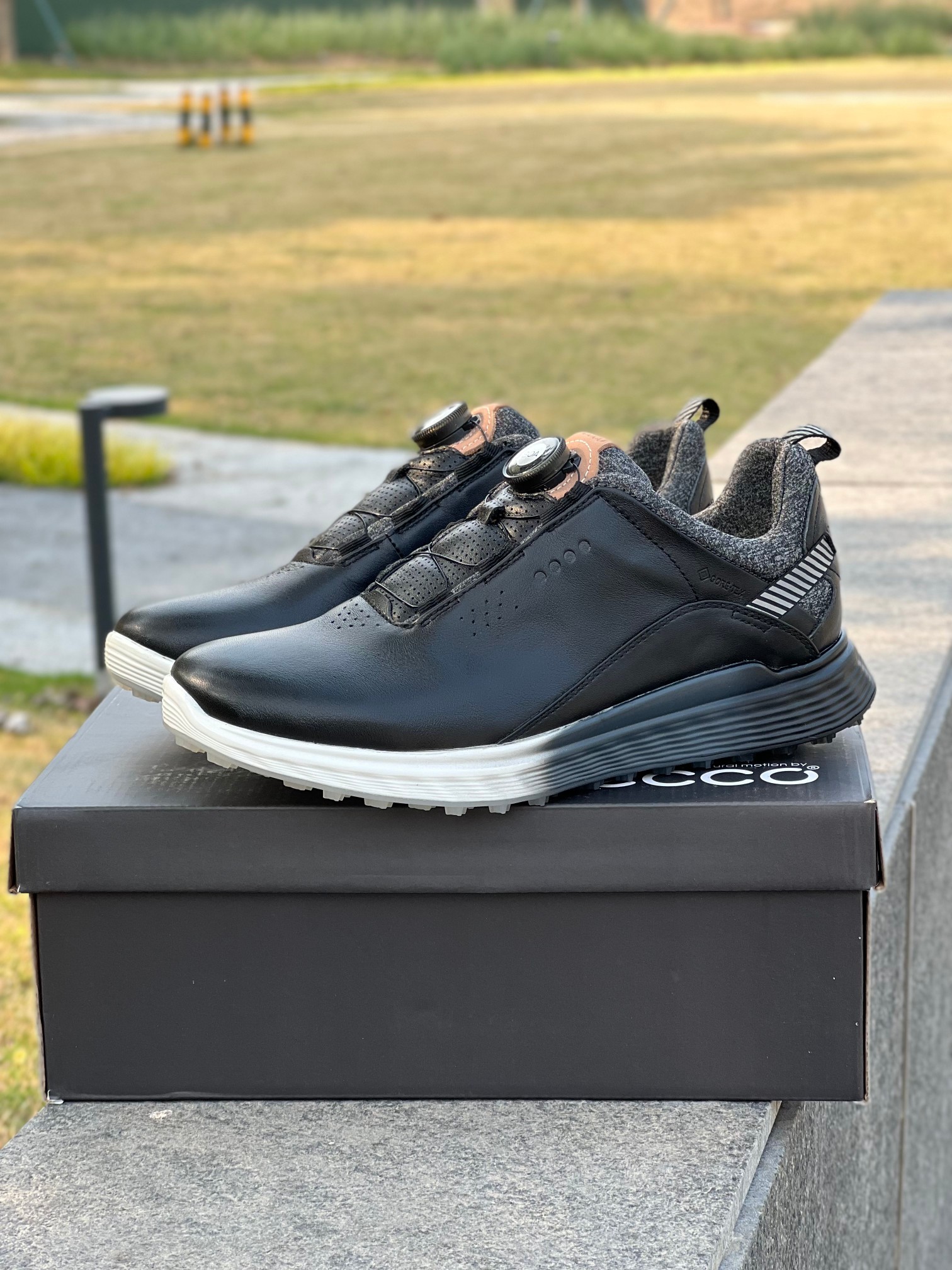 _dtO9syqra6OWlt7MdXXhttCnI3EsZaCyxJPvUww