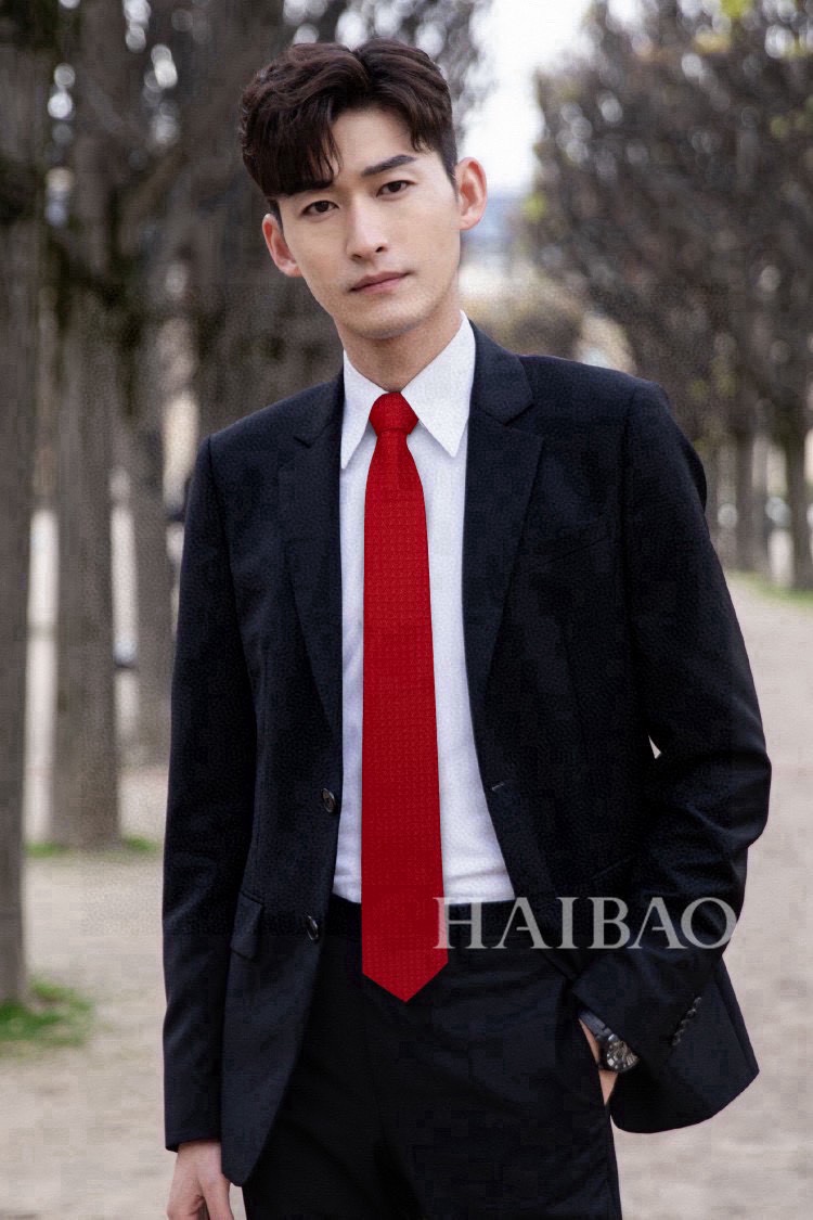 P180 Men’s L-Letter-Marked Tie Collection: Elegant, Quality Silk for Stylish Men - 图片 1