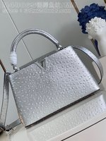 Louis Vuitton LV Capucines Bags Handbags Silver Taurillon Ostrich Leather M48865