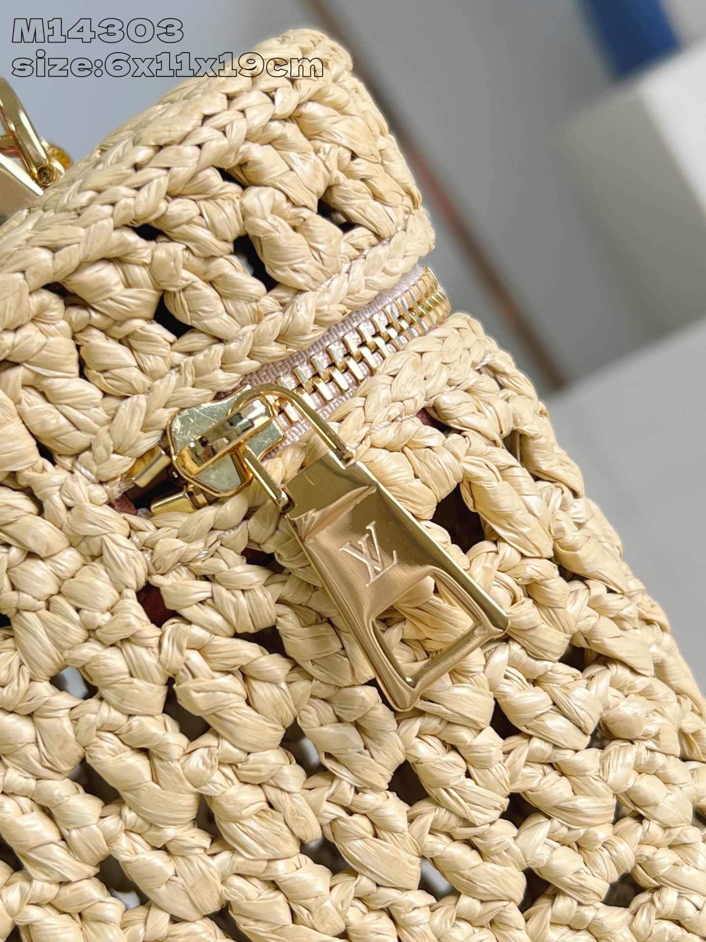 Louis Vuitton Vanity Chain Pouch Raffia and Leather Trim Crossbody Bag 6 i1751262721519 3732 0 4