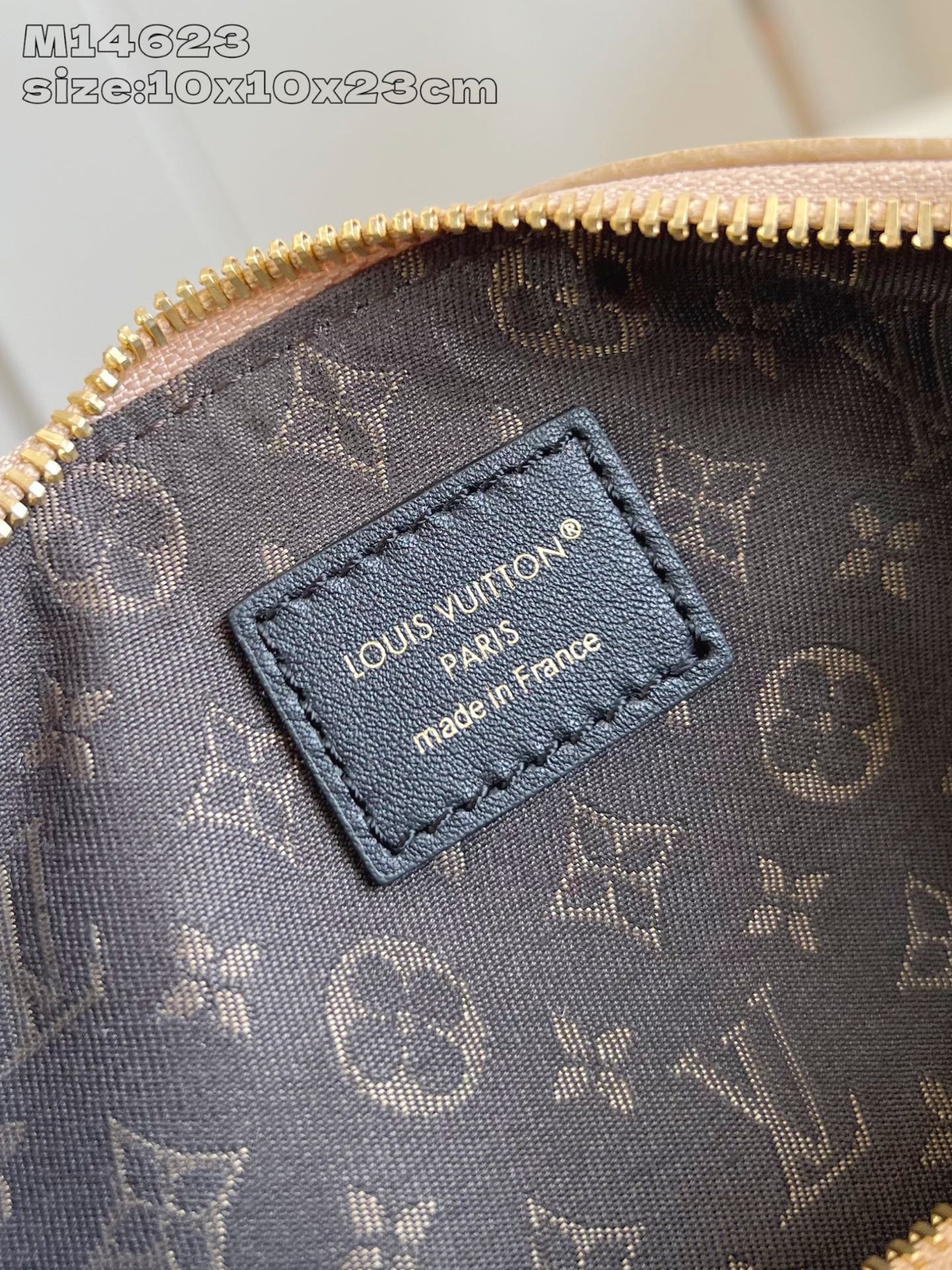 Louis Vuitton Rider Nano Bag, 2025 Spring/Summer Collection, Almond 9 i1751952402963 7926 0 8