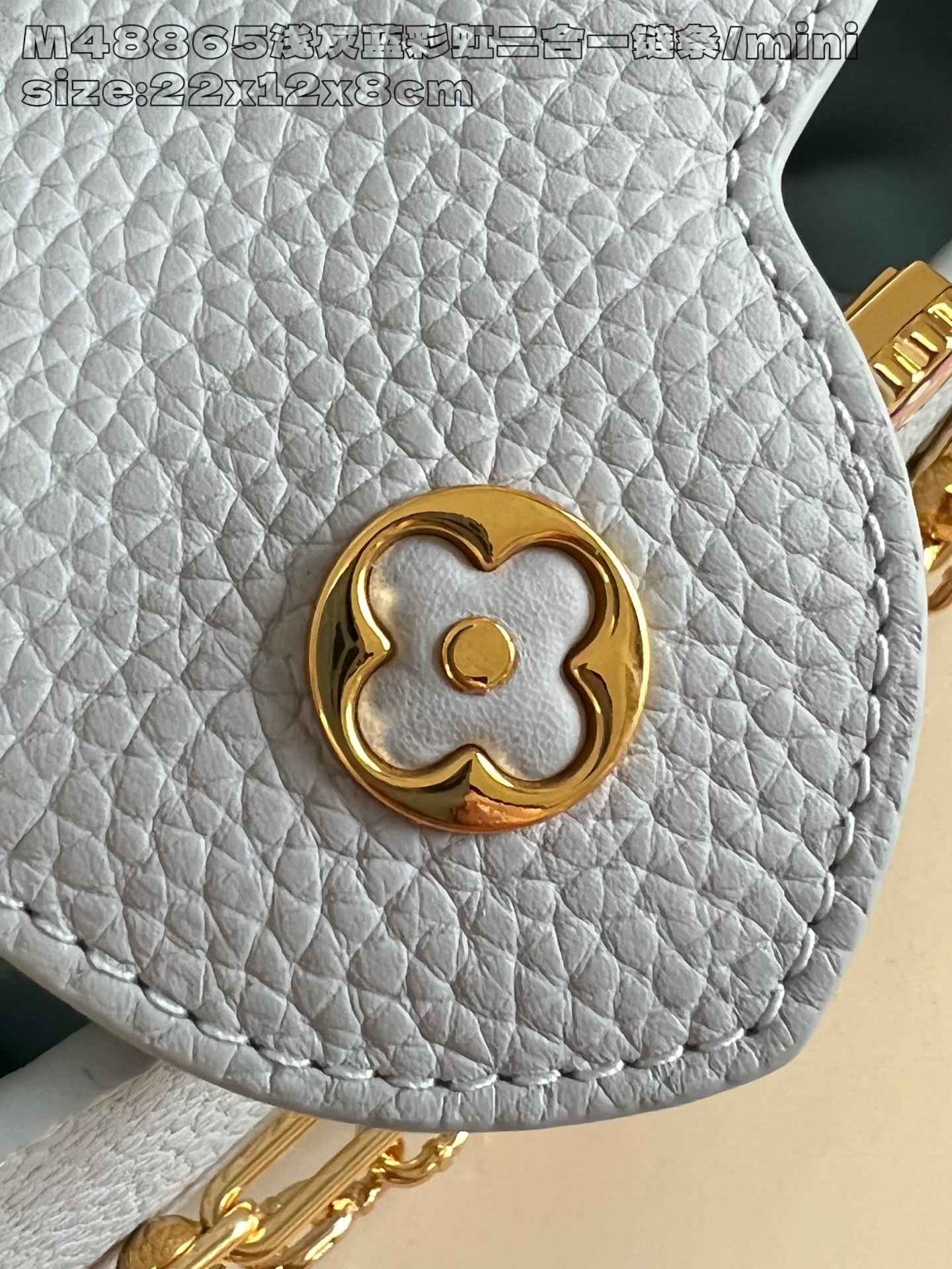 【顶级原单 M48865浅灰蓝彩虹二合一链条/迷你 】M13707 本款 Capucines East