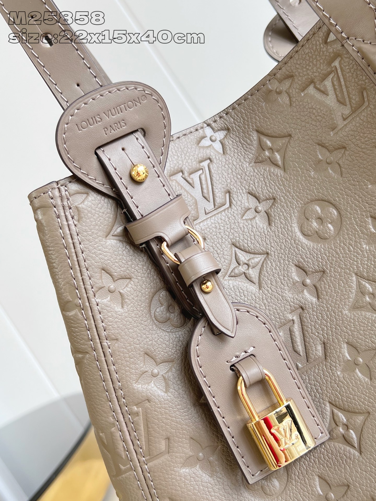 【顶级原单 M25858浅绿压花 】M25890 本款 All In One 小号手袋为 Monogra