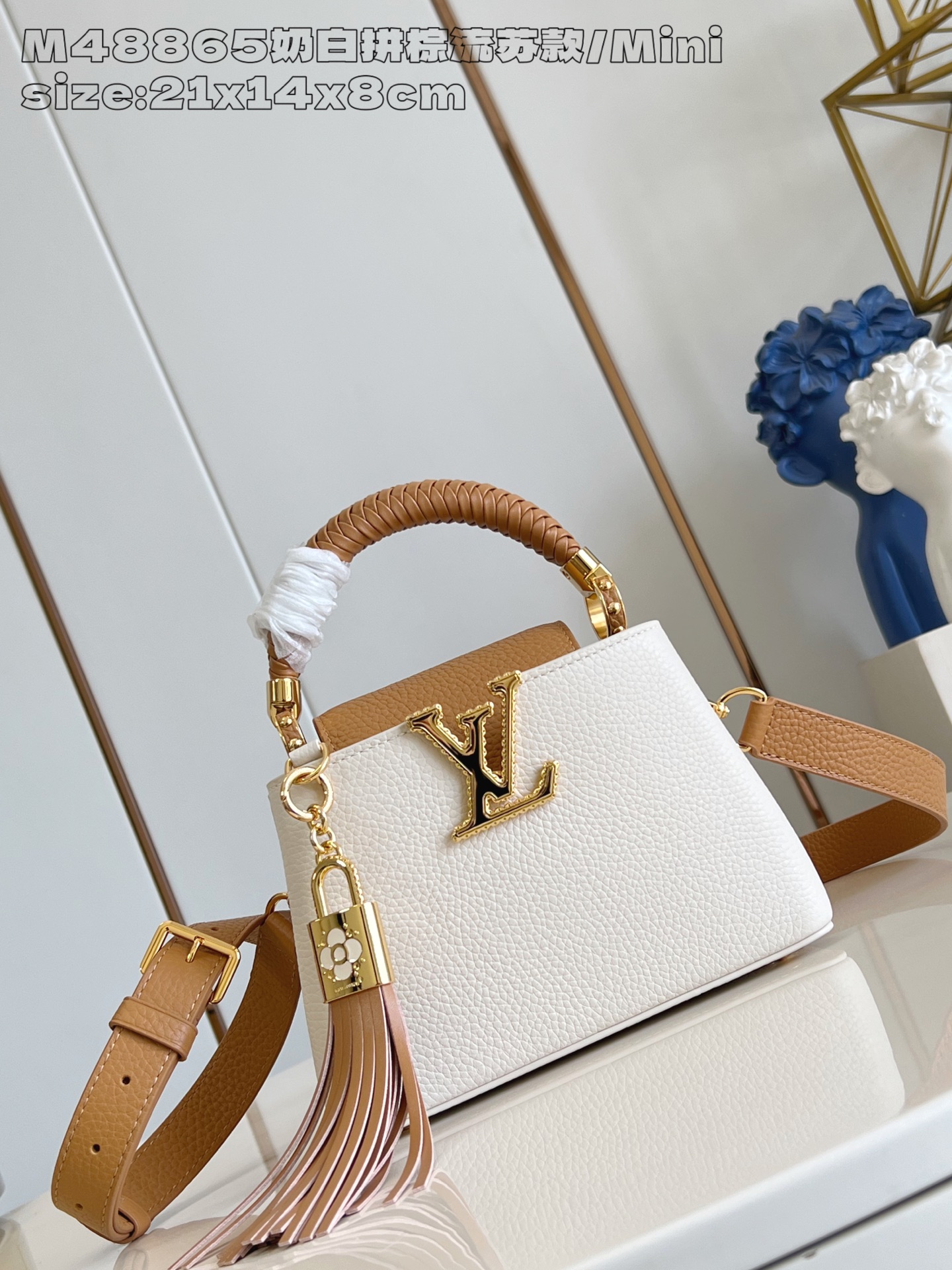 루이비통 M48865 브라운 카푸신 미니 Louis Vuitton Bag