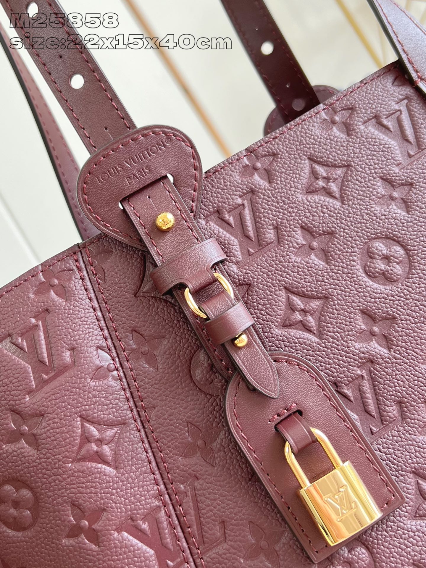 【顶级原单 M25858枣红压花 】M25890 本款 All In One 小号手袋为 Monogra