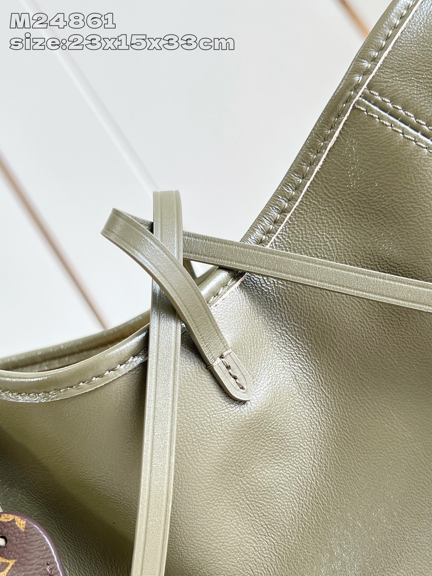 【顶级原单 M24861绿 】 本款 CarryAll Cargo Vibe 小号手袋为羊皮革浸染素雅色