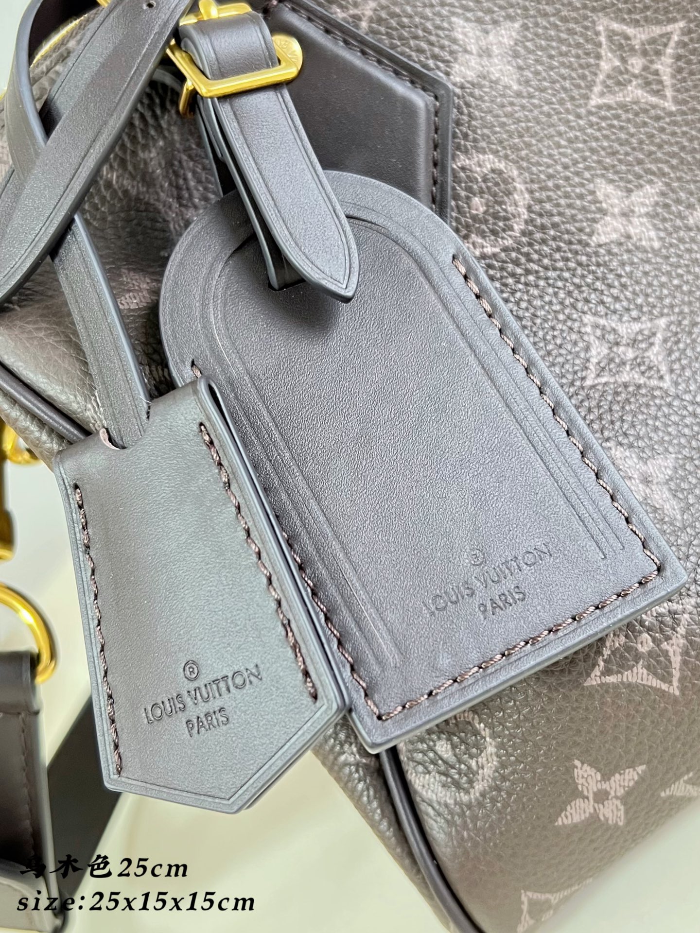 Сумка Louis Vuitton Speedy 25 с монограммой