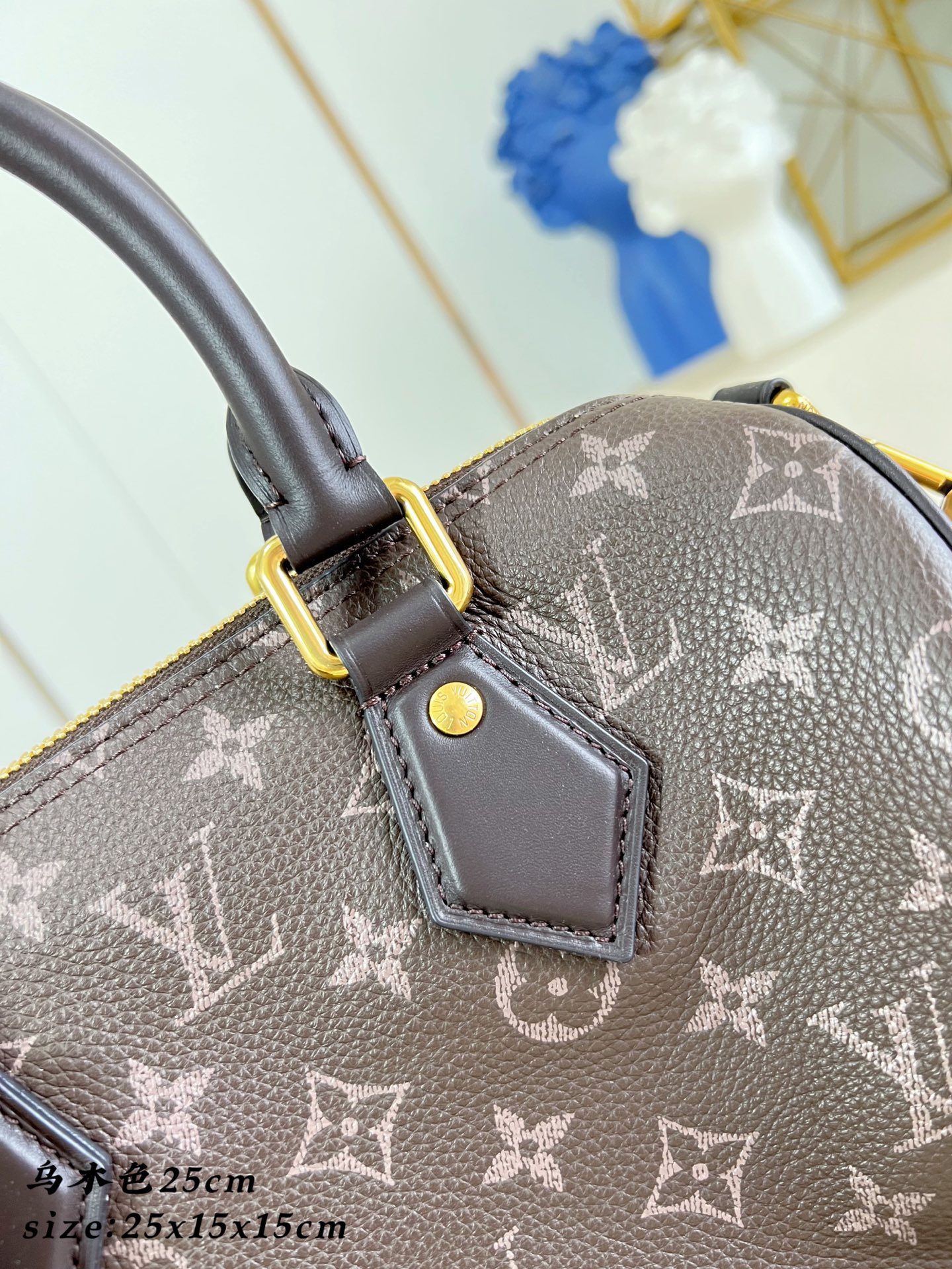 Сумка Louis Vuitton Speedy 25 с монограммой
