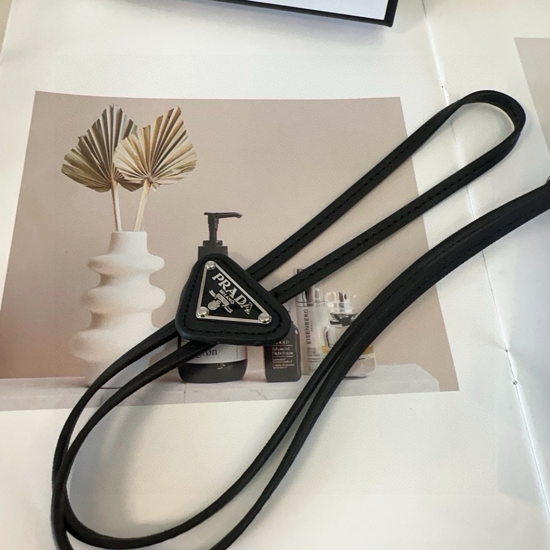 Prada Packaging Box for P’s Battered-Assy Tie: Good Taste and Fashion! - 图片 3