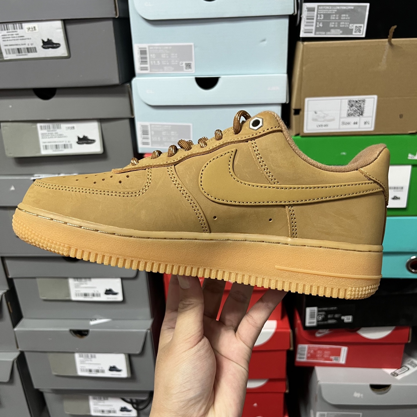 AF1 小麦CJ9179-20035.5-48.5