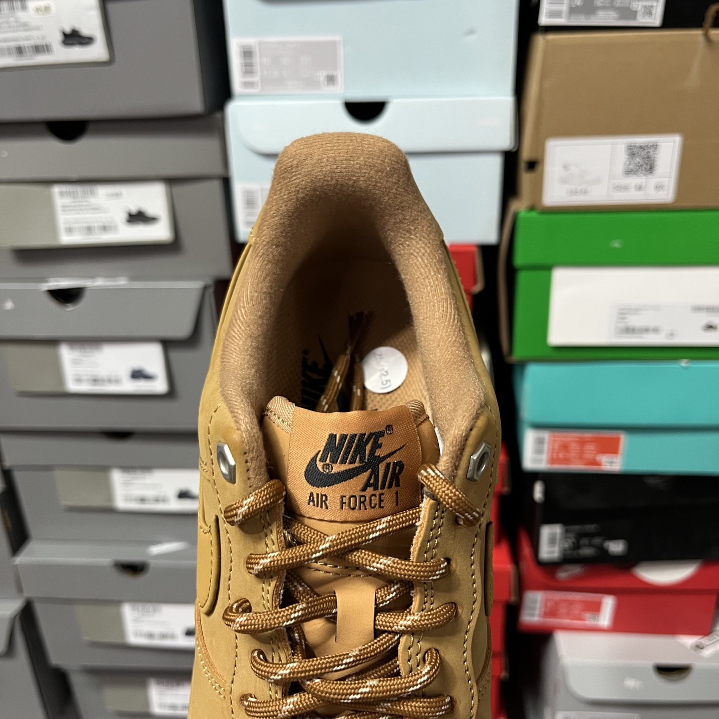 AF1 小麦CJ9179-20035.5-48.5