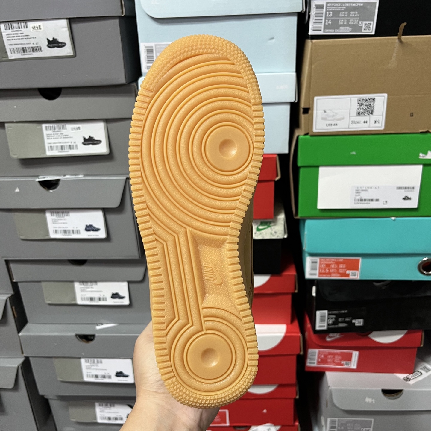 AF1 小麦CJ9179-20035.5-48.5