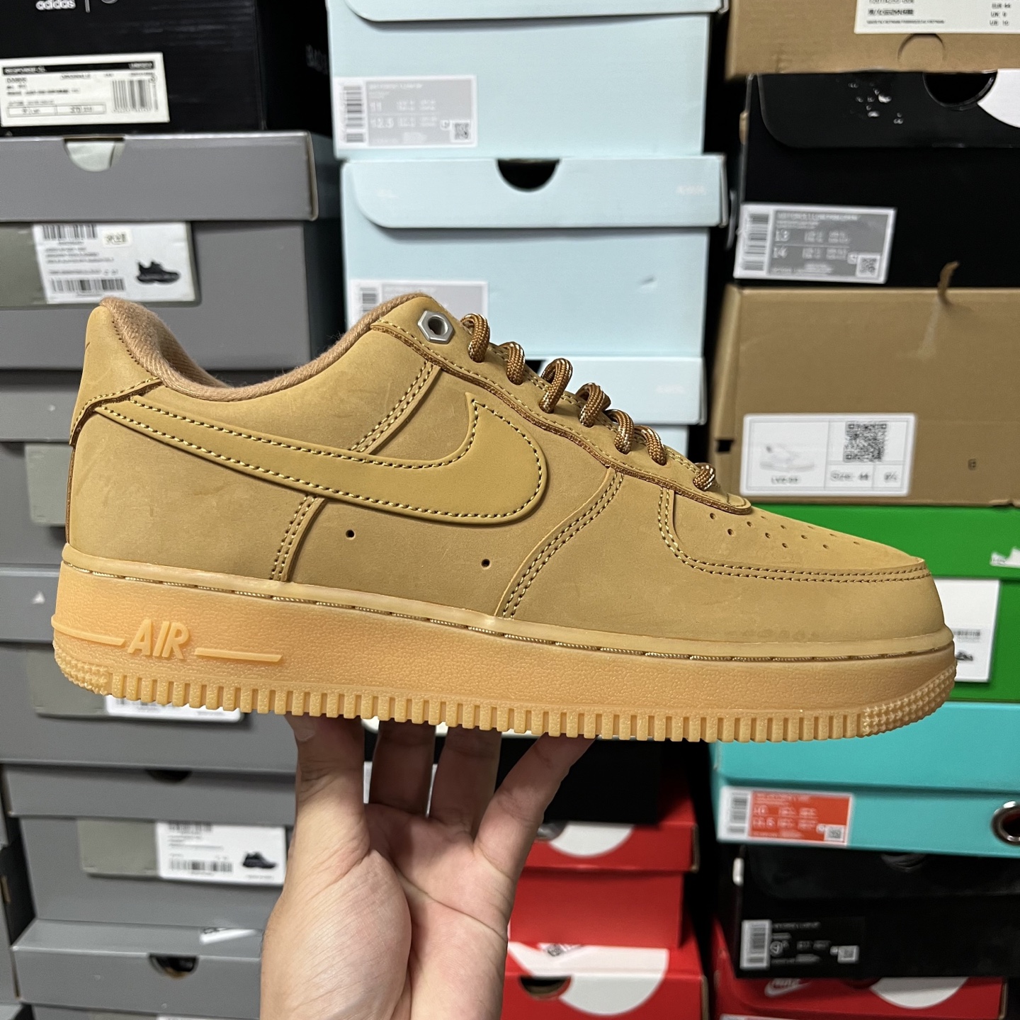 AF1 小麦CJ9179-20035.5-48.5