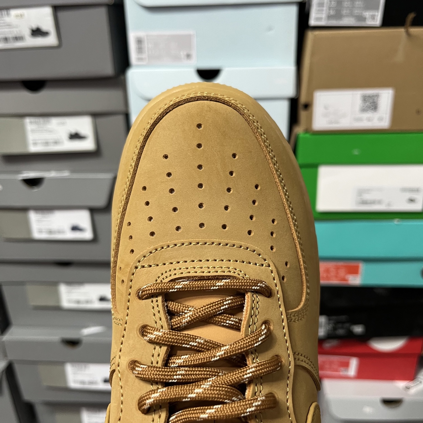 AF1 小麦CJ9179-20035.5-48.5