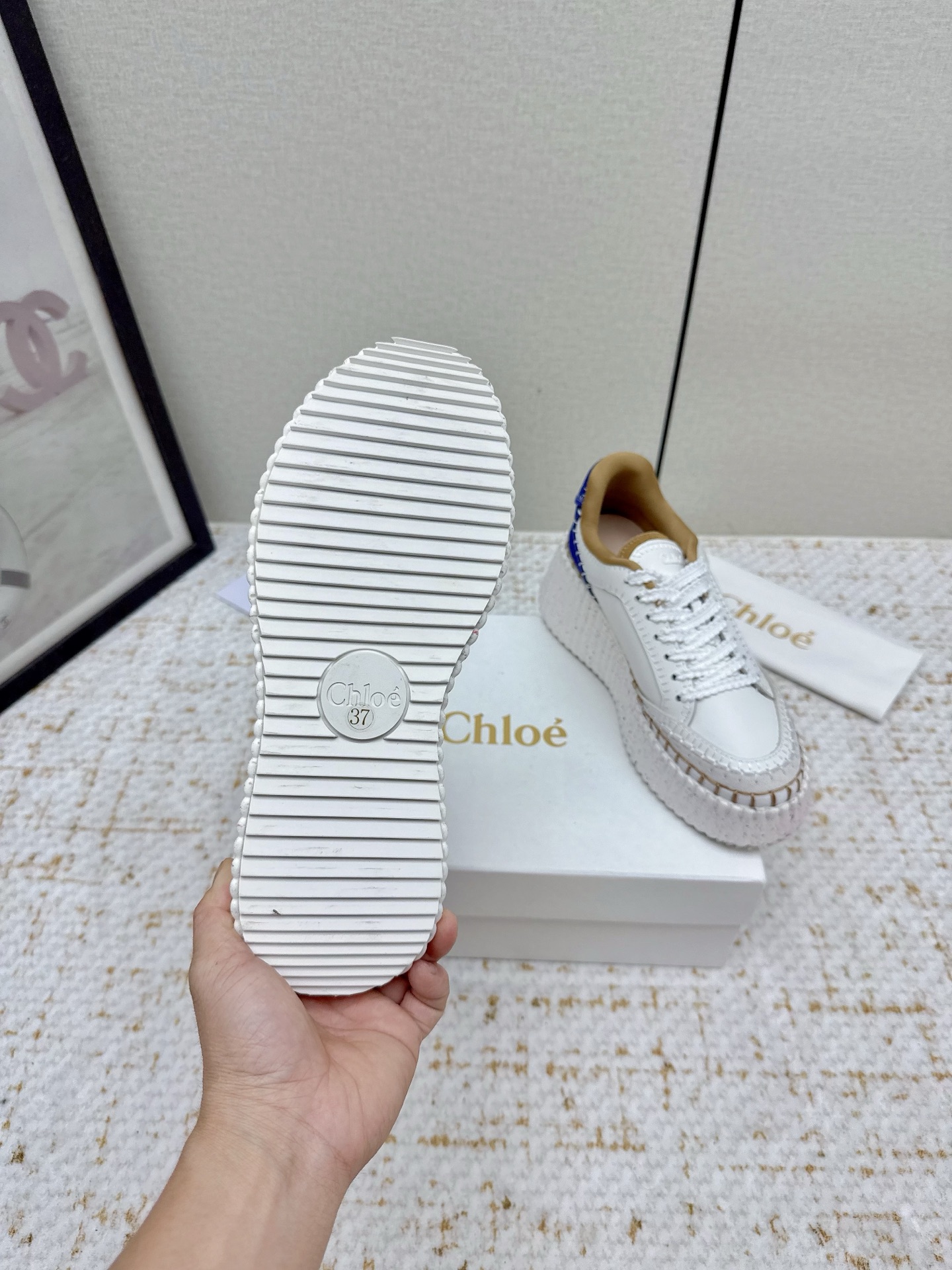Chloe Counter: High Fashion Shoes in Five Colors for 2025 - 图片 9