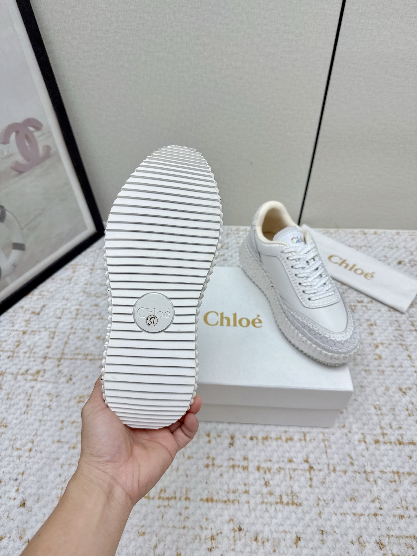 High Fashion Trends for 2025: Chloe Counter Collection in Five Colors - 图片 7