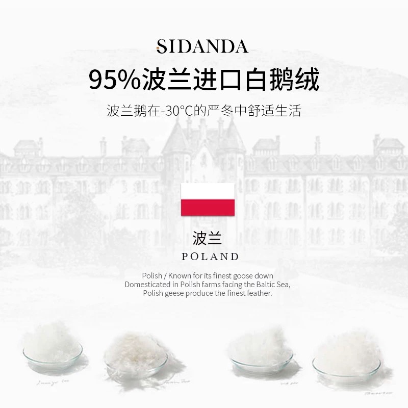 SIDANDA All-Cotton Down Duvet - Comprehensive 2