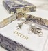 Dior Jewelry Earring