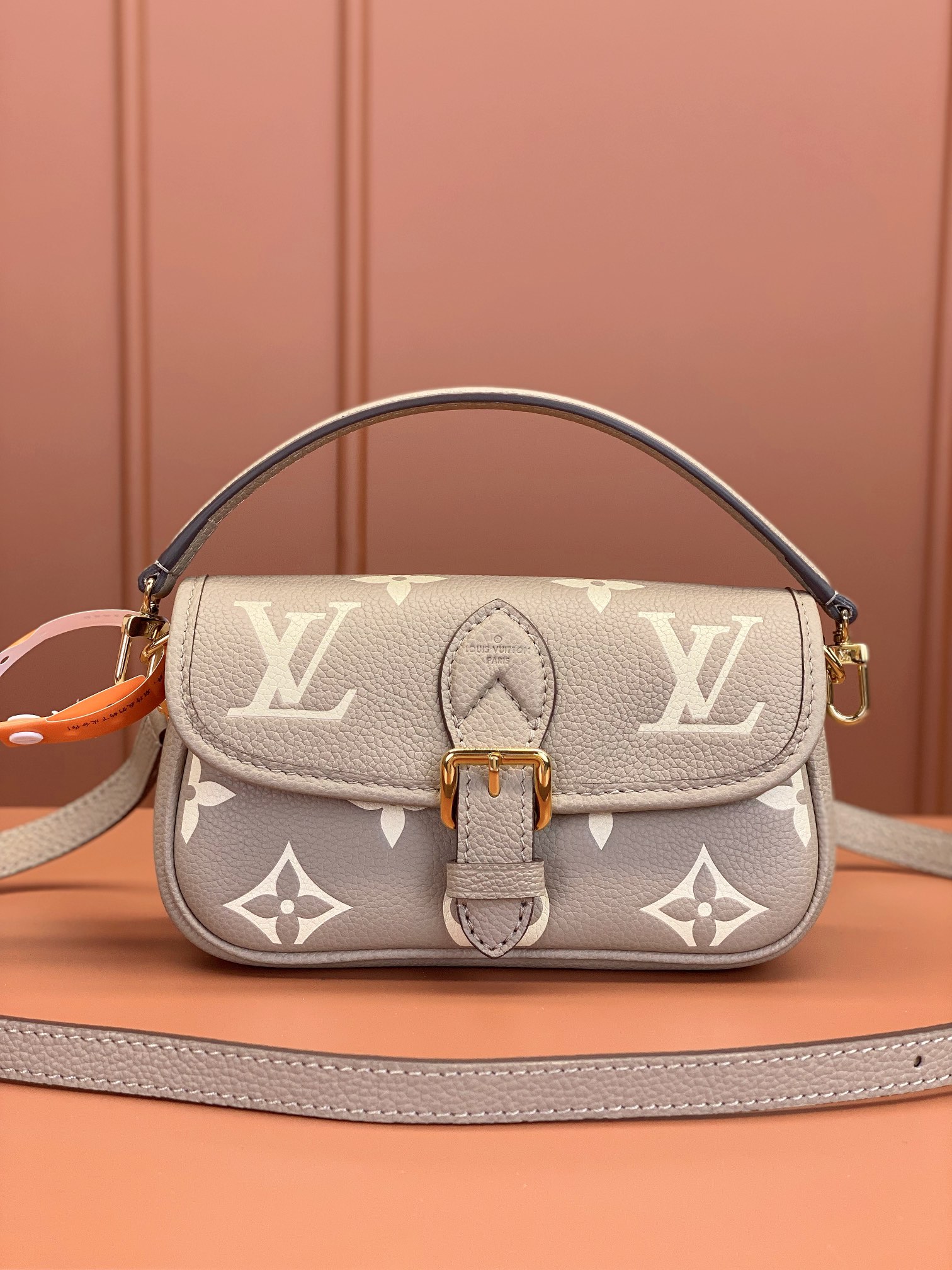 Louis Vuitton LV Diane Bags Handbags Grey All Steel M83300