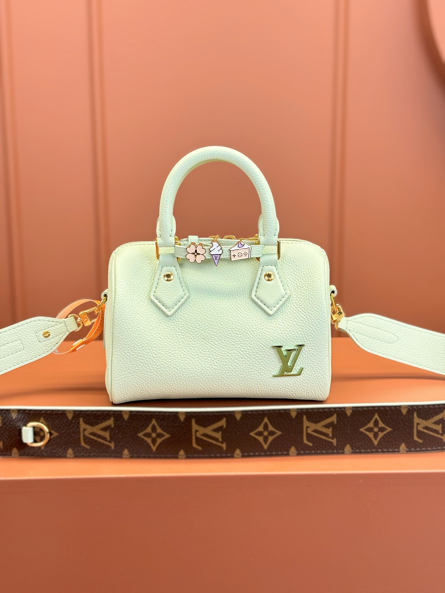 Louis Vuitton LV Speedy Sacs À Main Vente de Chine
 Vert Tout en acier M24605