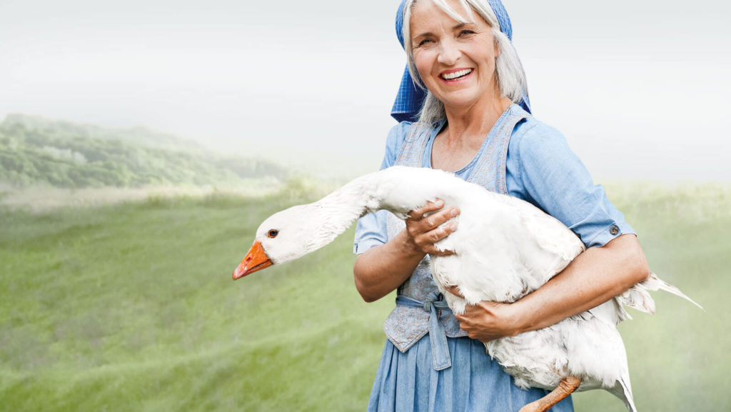 Kauffmann produces bedding designed for healthy, restorative sleep - Home&Textlile 3