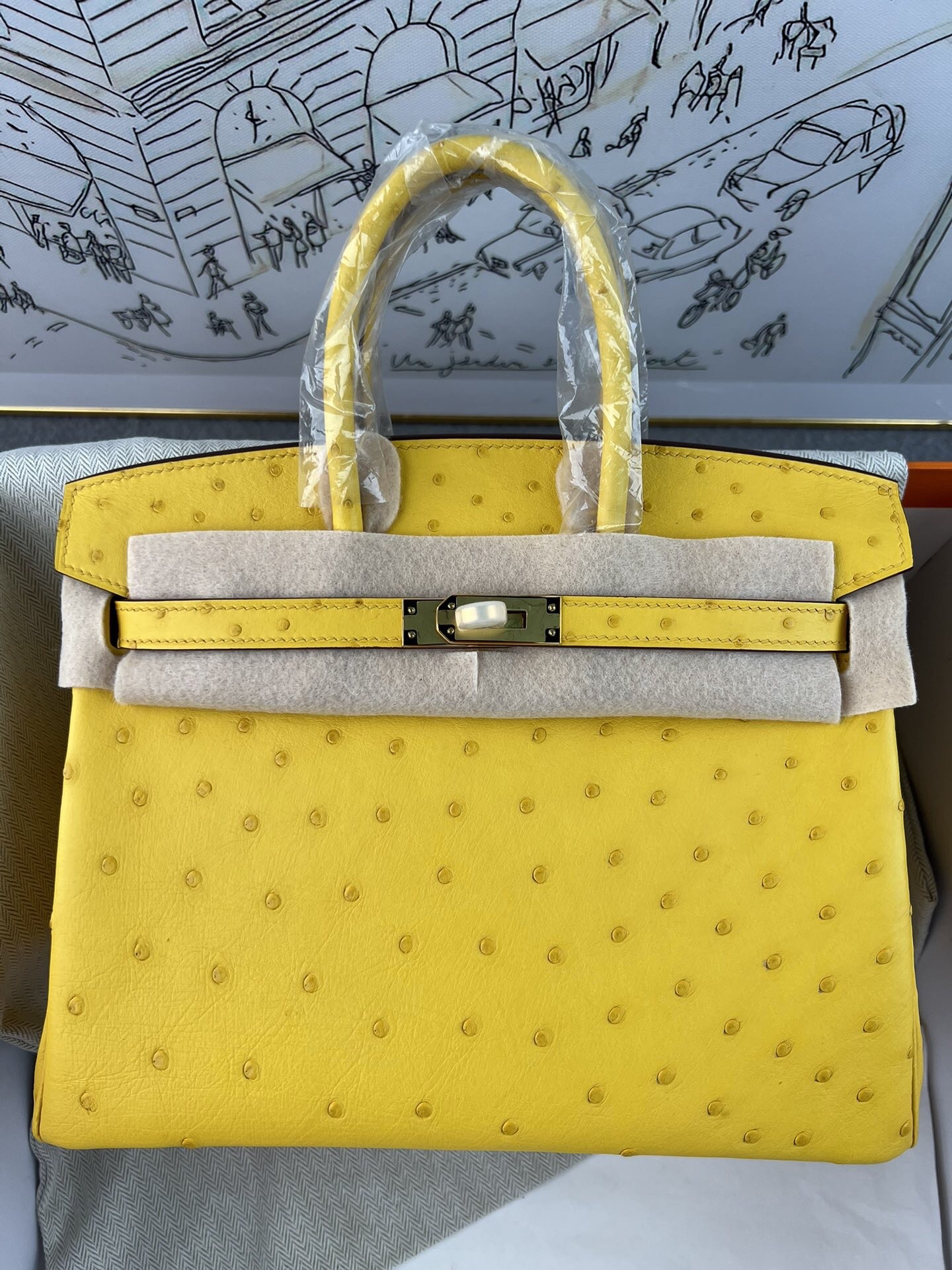 Birkin 25cm de platino, piel de avestruz kk importada de Sudáfrica, cosido a mano con hilo encerado, herrajes de acero …