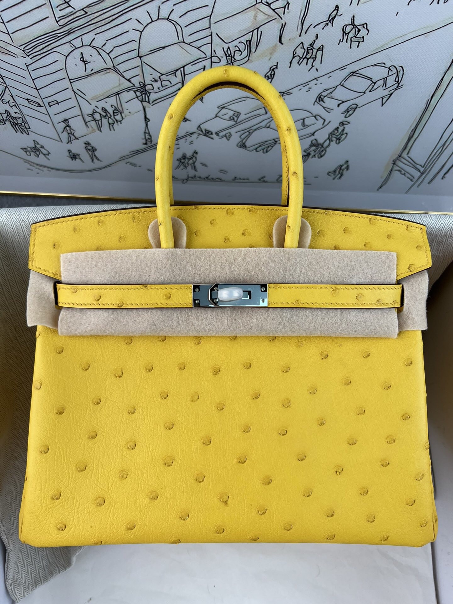 Birkin 25cm de platino, piel de avestruz kk importada de Sudáfrica, cosido a mano con hilo encerado, herrajes de acero …