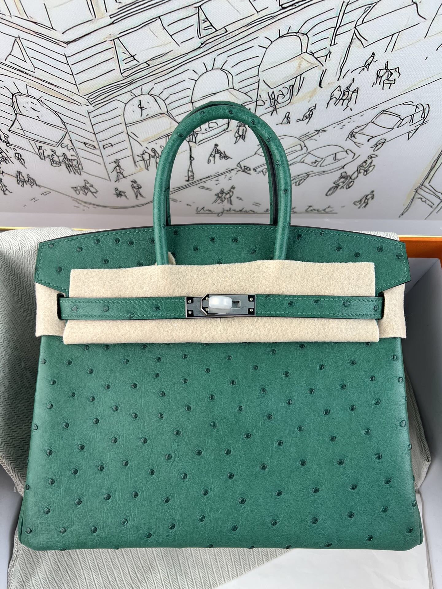 Birkin 25cm de platino, piel de avestruz kk importada de Sudáfrica, cosido a mano con hilo encerado, herrajes de acero …