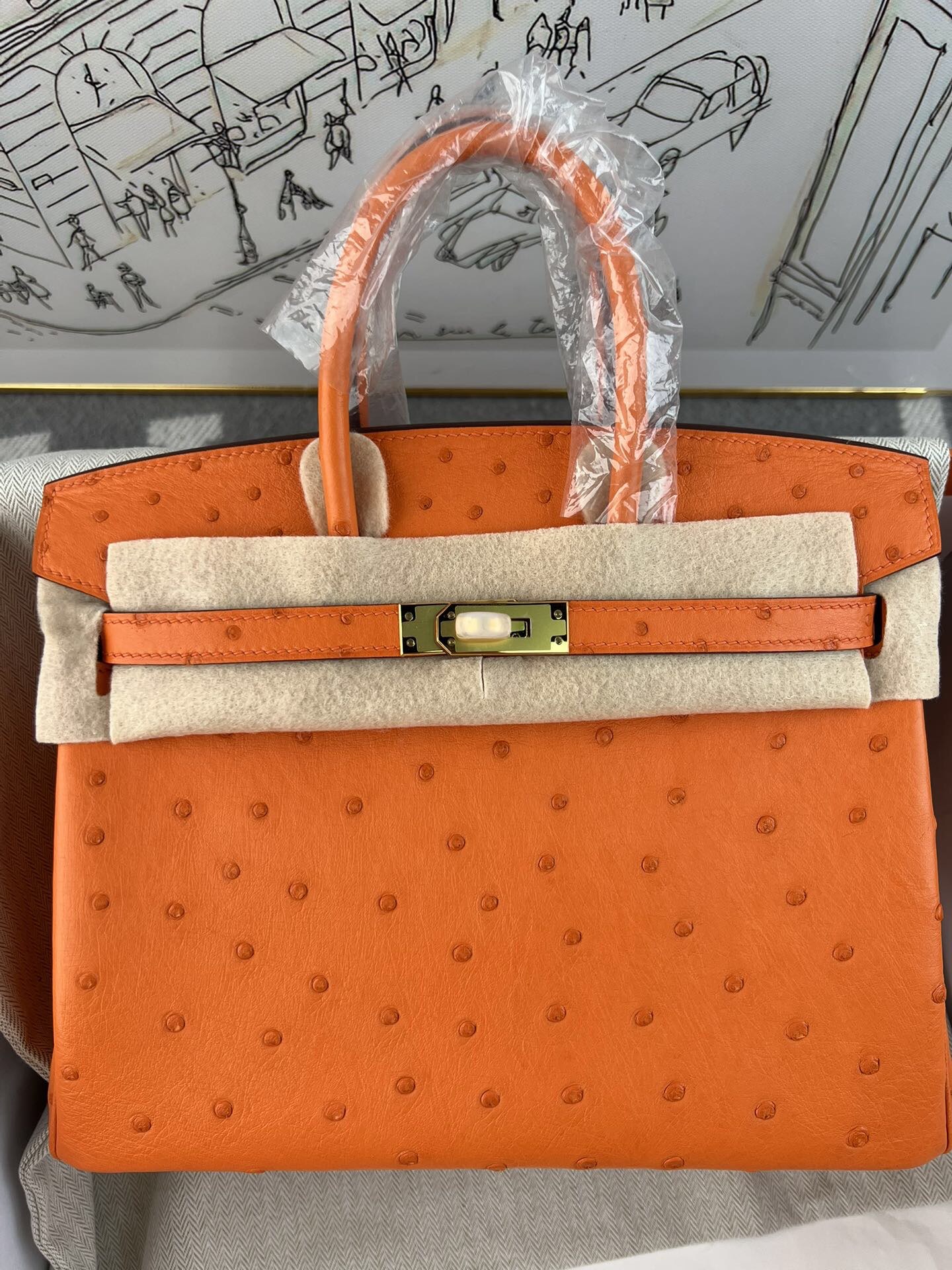 Birkin 25cm de platino, piel de avestruz kk importada de Sudáfrica, cosido a mano con hilo encerado, herrajes de acero …