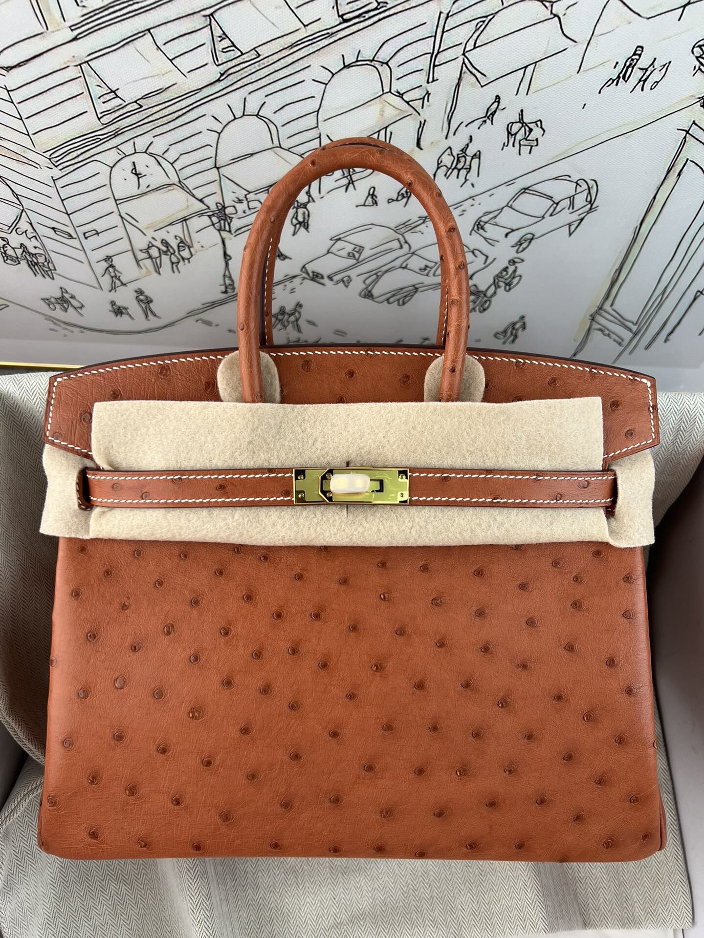 Birkin 25cm de platino, piel de avestruz kk importada de Sudáfrica, cosido a mano con hilo encerado, herrajes de acero …