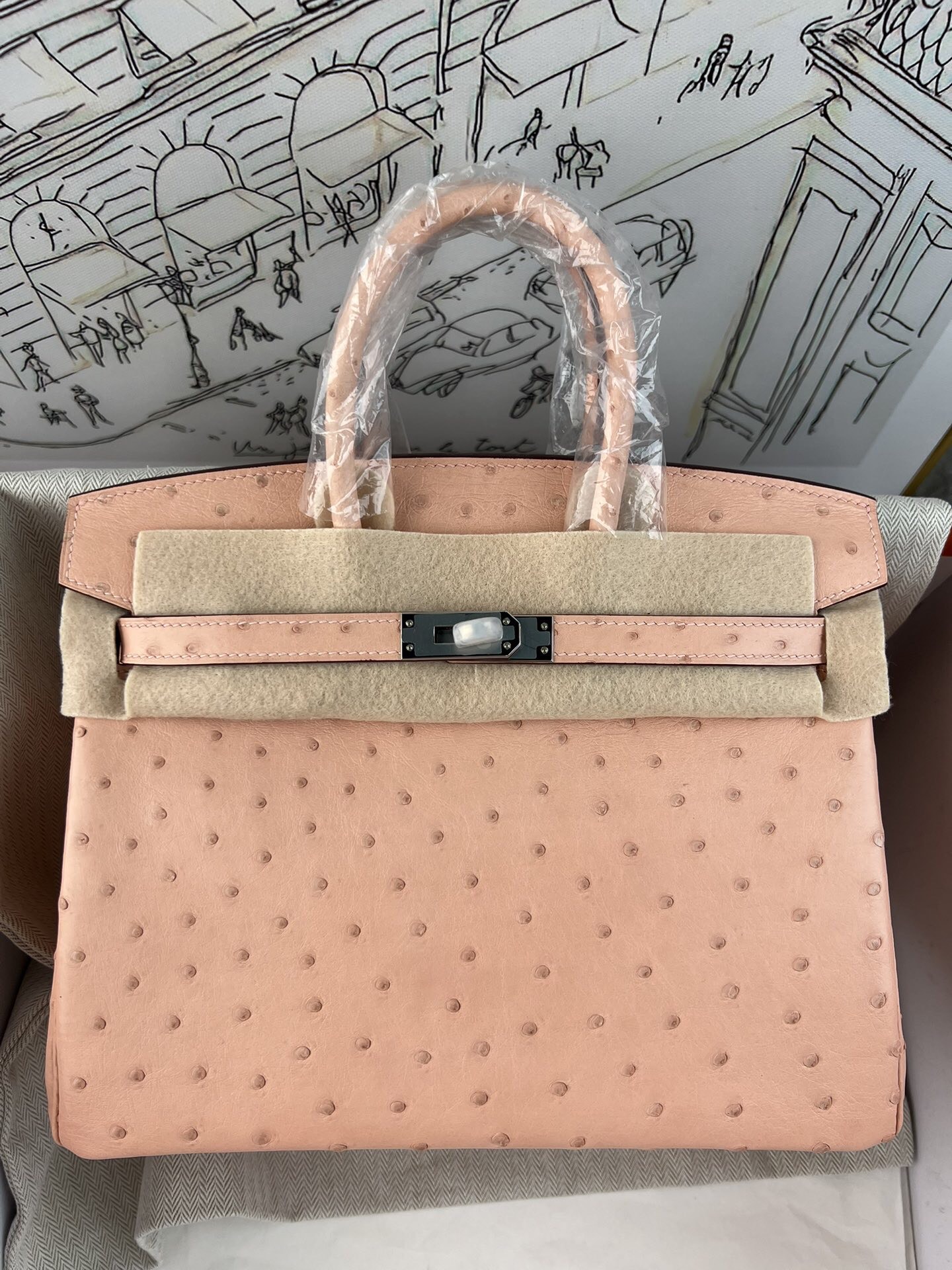 Birkin 25cm de platino, piel de avestruz kk importada de Sudáfrica, cosido a mano con hilo encerado, herrajes de acero …