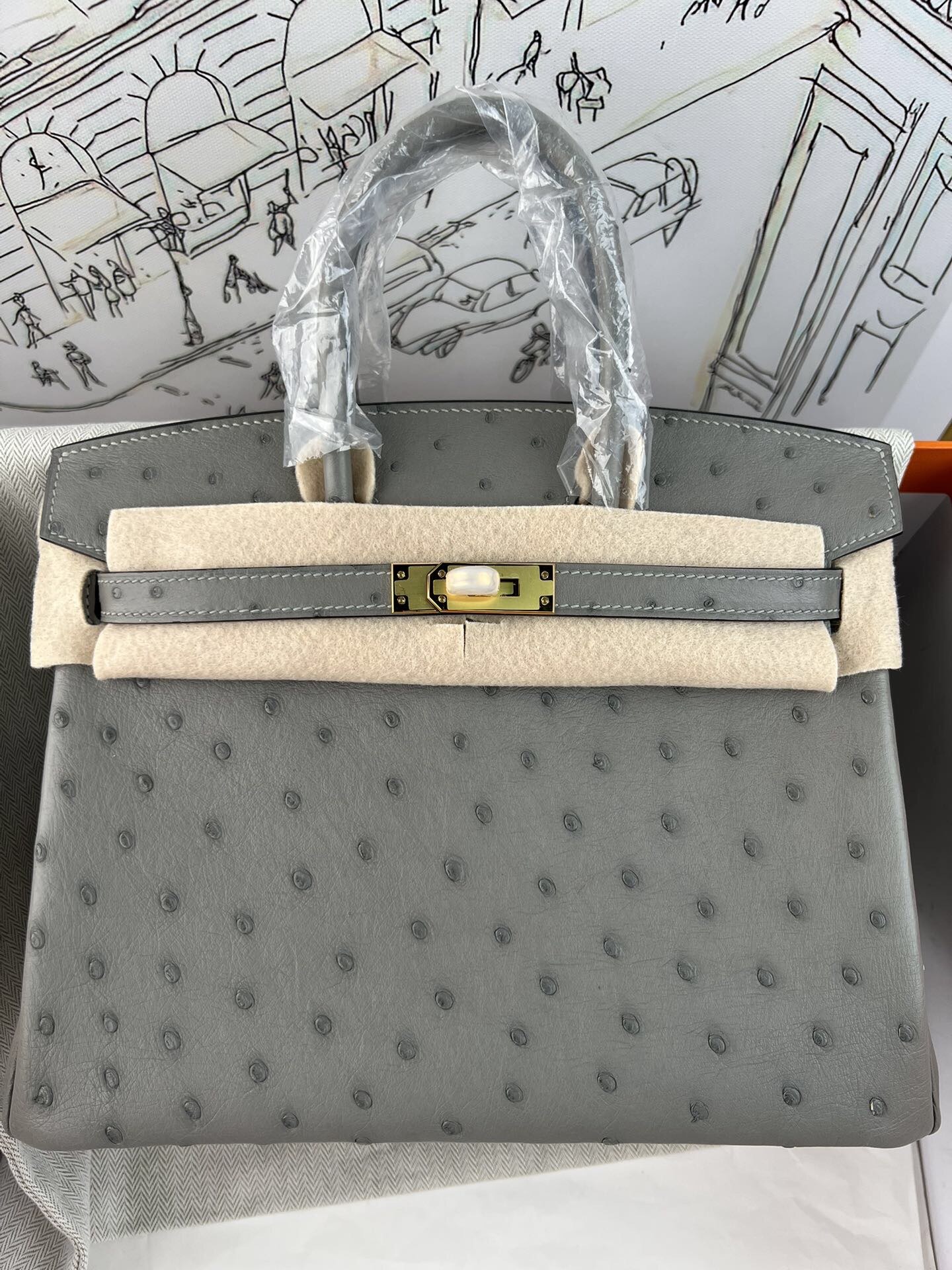 Birkin 25cm de platino, piel de avestruz kk importada de Sudáfrica, cosido a mano con hilo encerado, herrajes de acero …