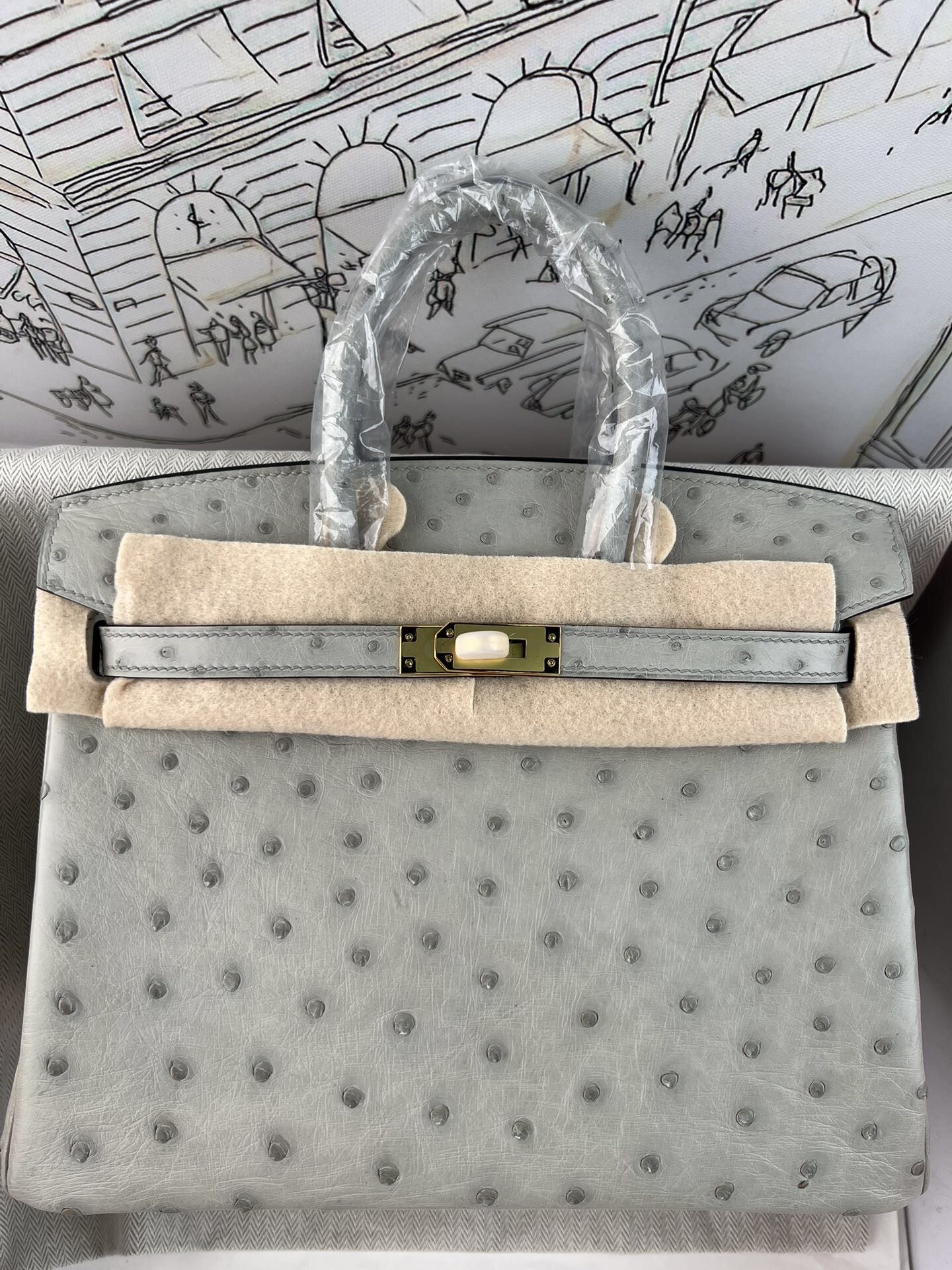 Birkin 25cm de platino, piel de avestruz kk importada de Sudáfrica, cosido a mano con hilo encerado, herrajes…