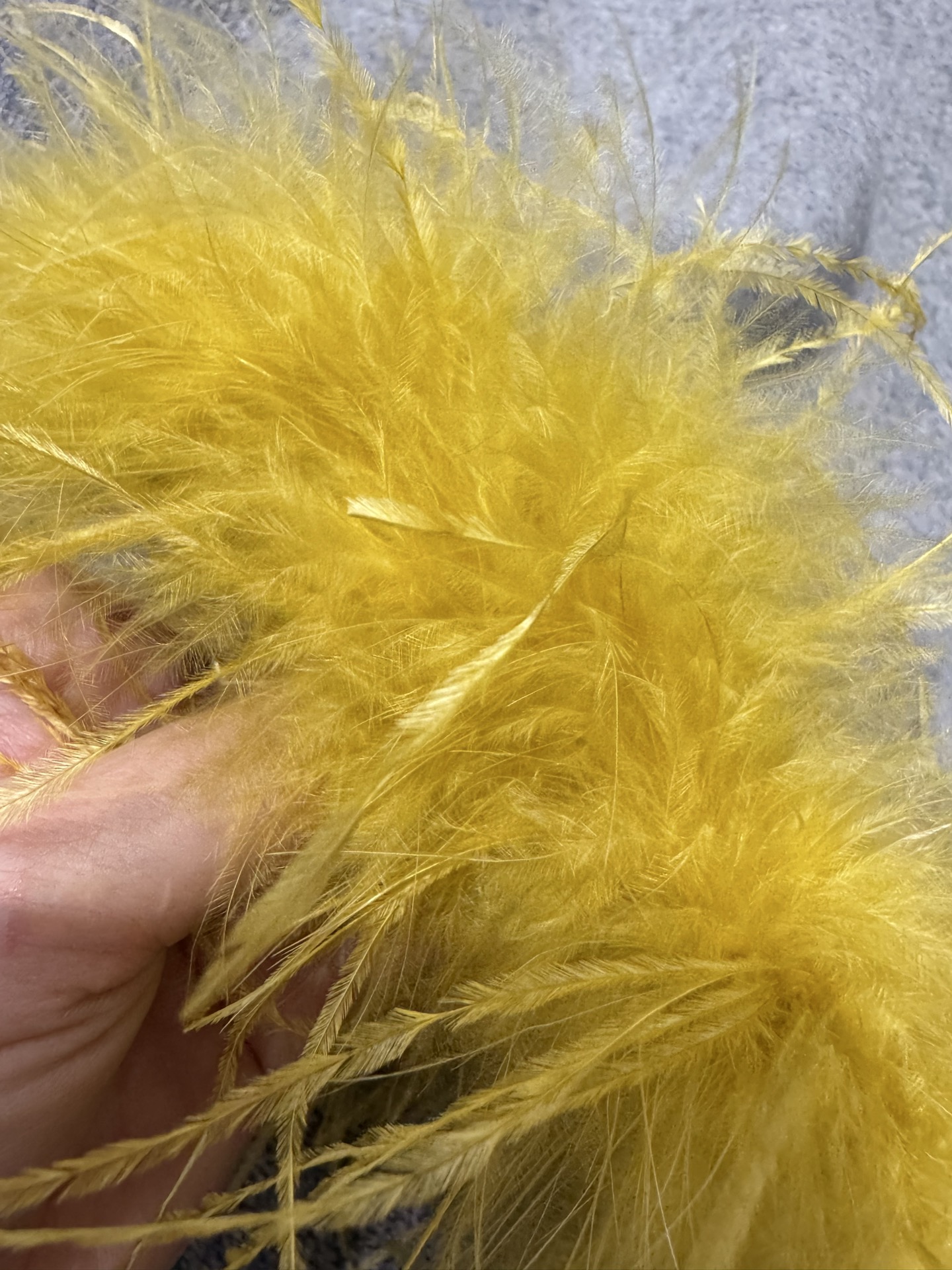 i1760353368572 8991 0 7