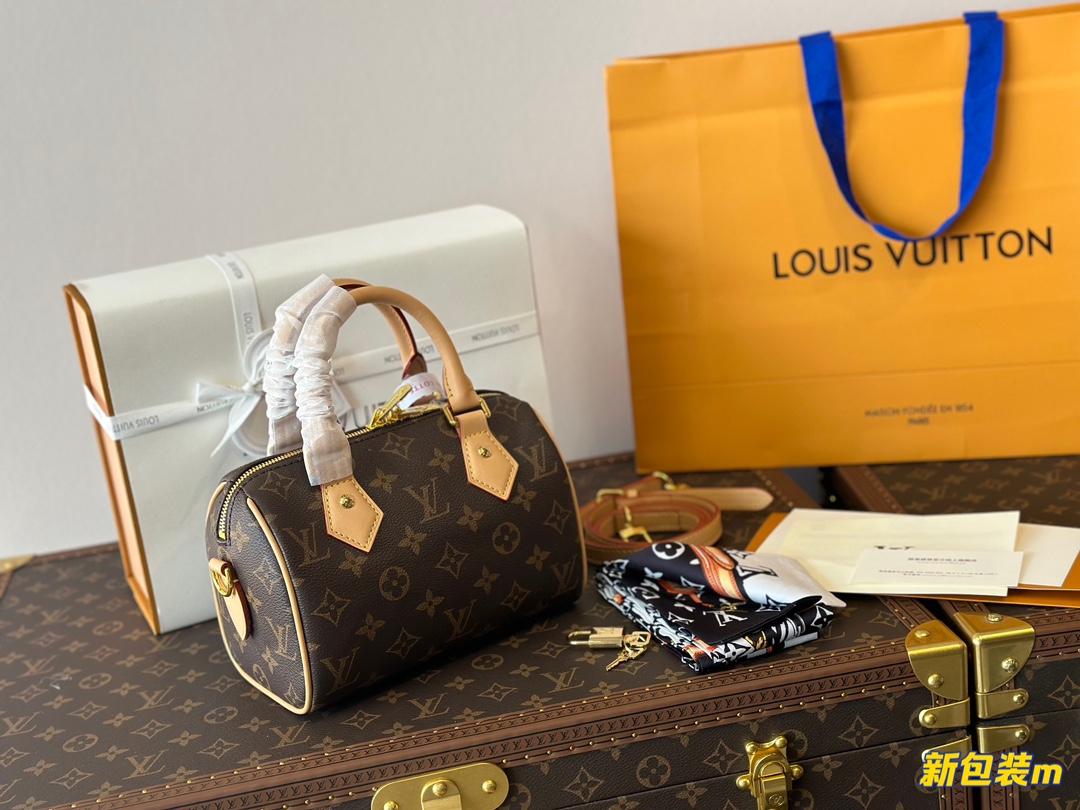 Louis Vuitton LV Speedy Bags Handbags All Steel