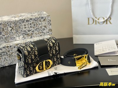 Dior Crossbody & Shoulder Bags Printing Oblique