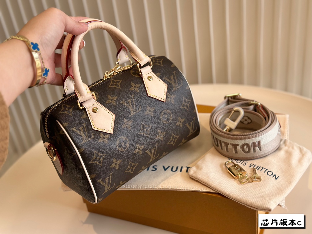 Louis Vuitton LV Speedy Bags Handbags All Steel