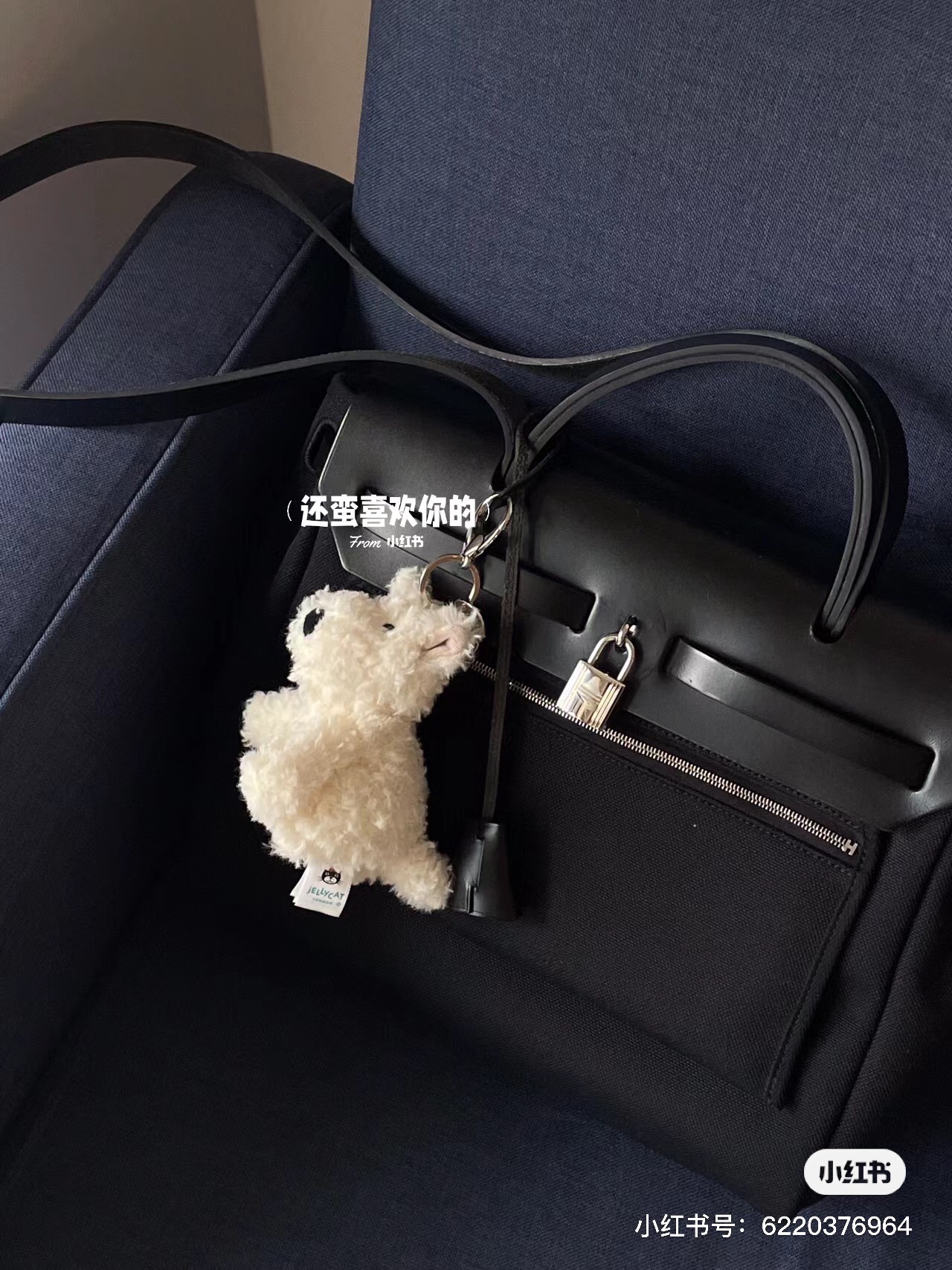终于可以带上心爱的修狗出门啦！～ 4