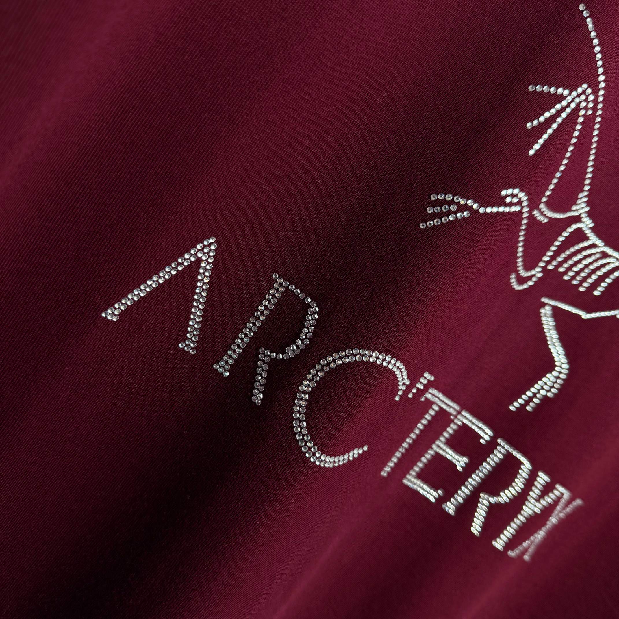 Arc'teryx # ARC'TERYX*始祖*鸟 2026春夏新款 个性 字母烫钻工艺 定制双纱平纹纯棉面料 短袖T恤
