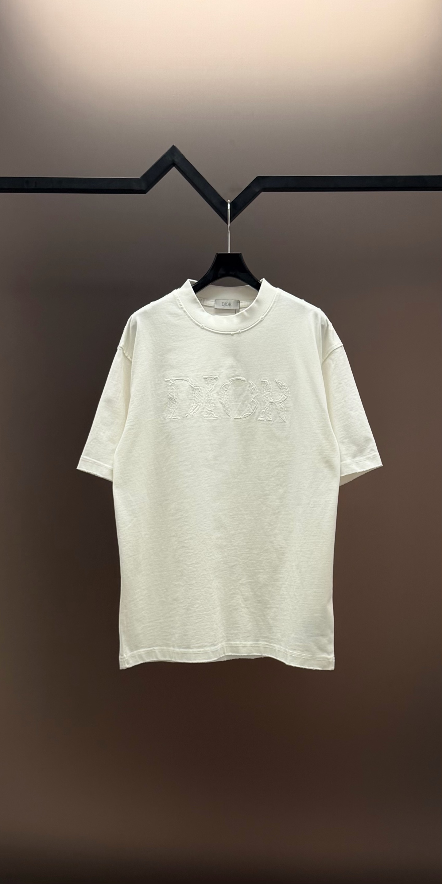 Dior 品牌：Dior迪奥 25SS最新 胸前 Logo字母刺绣Dior品牌元素标志性真空绣大Logo绣花工艺短袖T恤