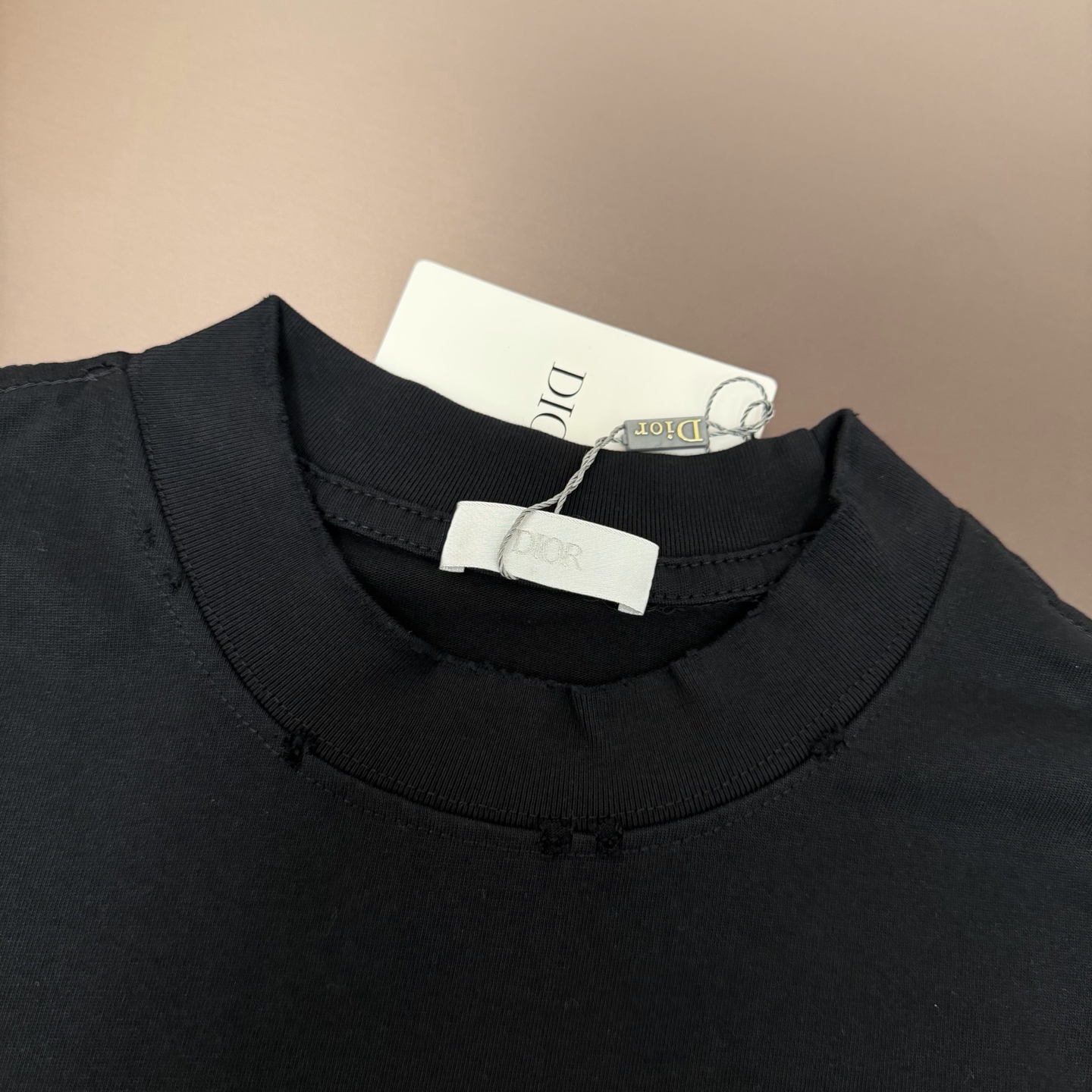 Dior 品牌：Dior迪奥 25SS最新 胸前 Logo字母刺绣Dior品牌元素标志性真空绣大Logo绣花工艺短袖T恤