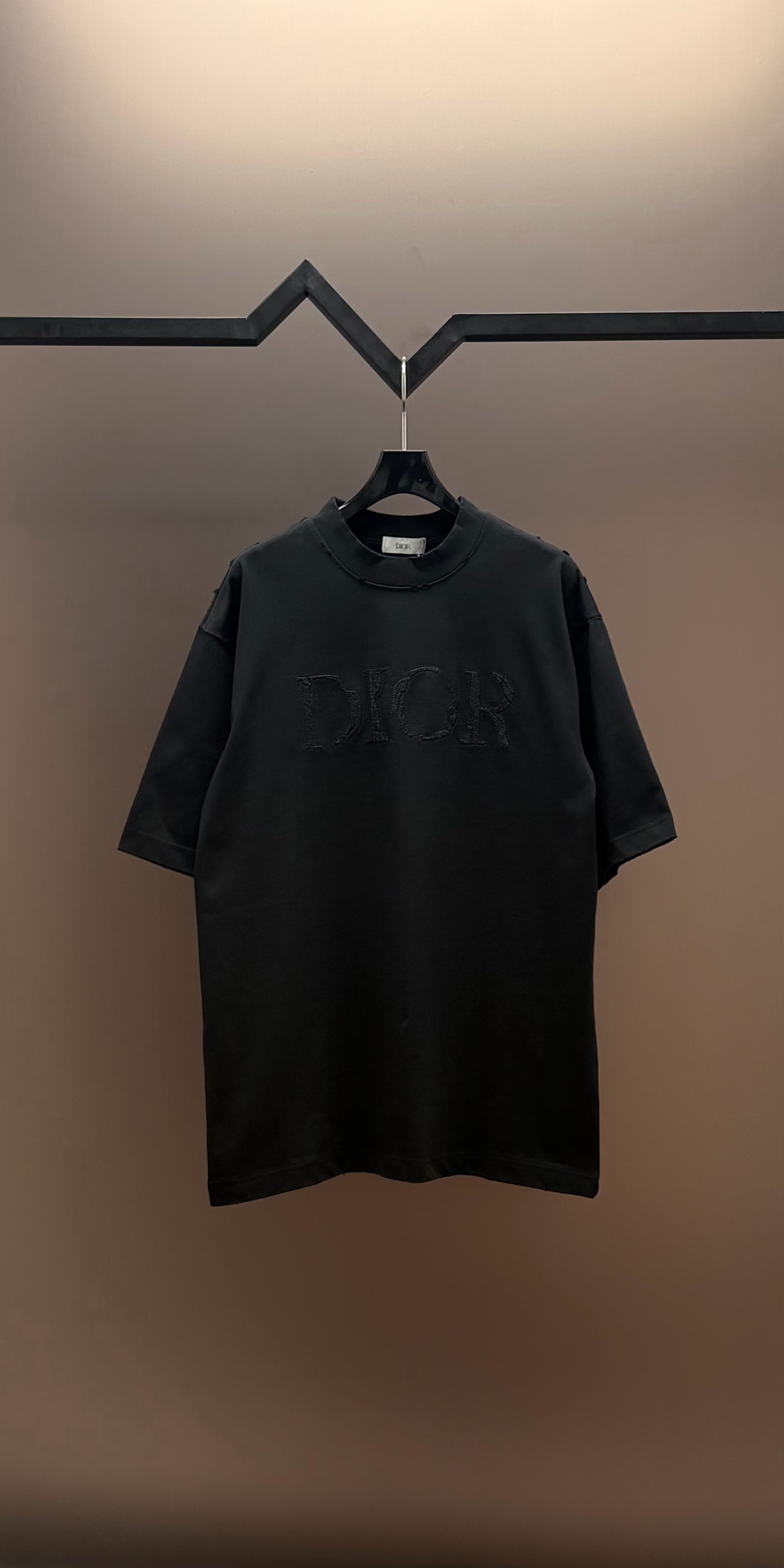 Dior 品牌：Dior迪奥 25SS最新 胸前 Logo字母刺绣Dior品牌元素标志性真空绣大Logo绣花工艺短袖T恤