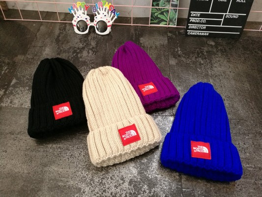 The North Face Hats Knitted Hat Beige Black Blue Purple Red Unisex Knitting Fall/Winter Collection