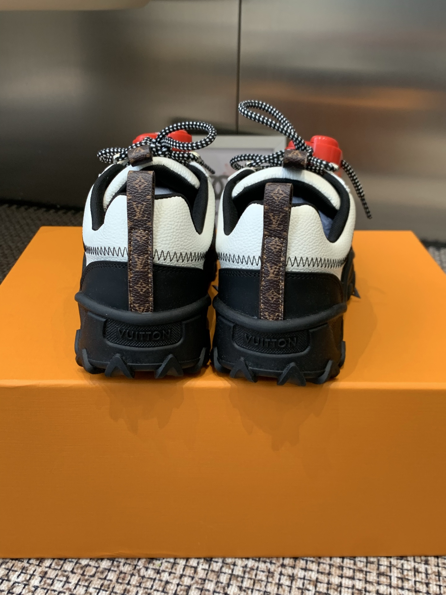 Louis Vuitton Sneakers