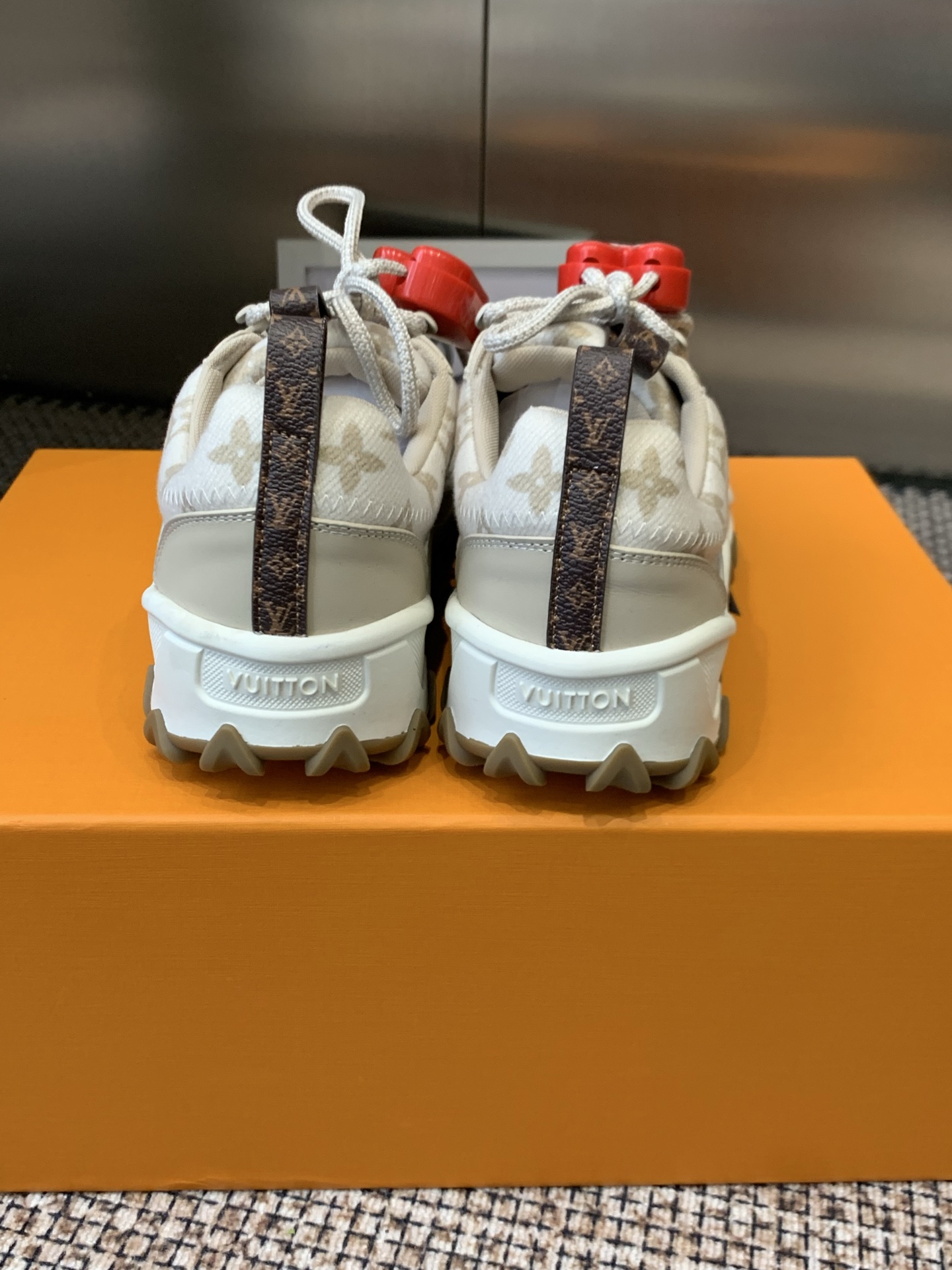 Louis Vuitton Sneakers